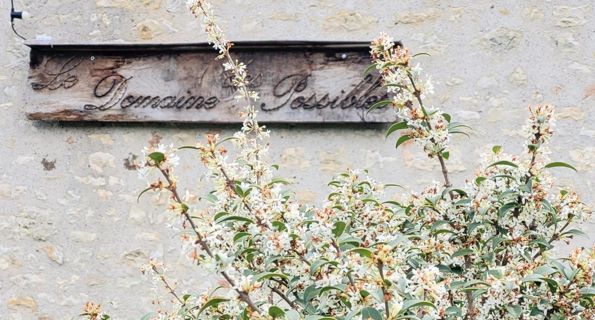 Domaine Des Possibles - Equi Home Montayral 外观 照片